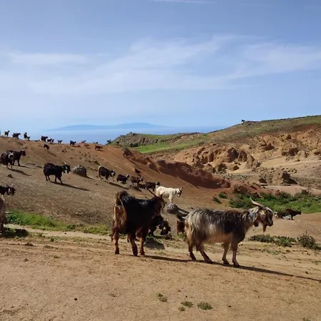Feriehus Casa Emilia Los Silos