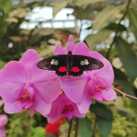 Σπίτι διακοπών Casa Emilia Los Silos