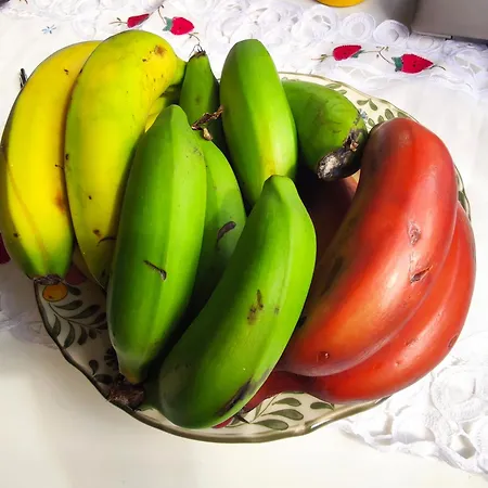 Σπίτι διακοπών Casa Emilia *